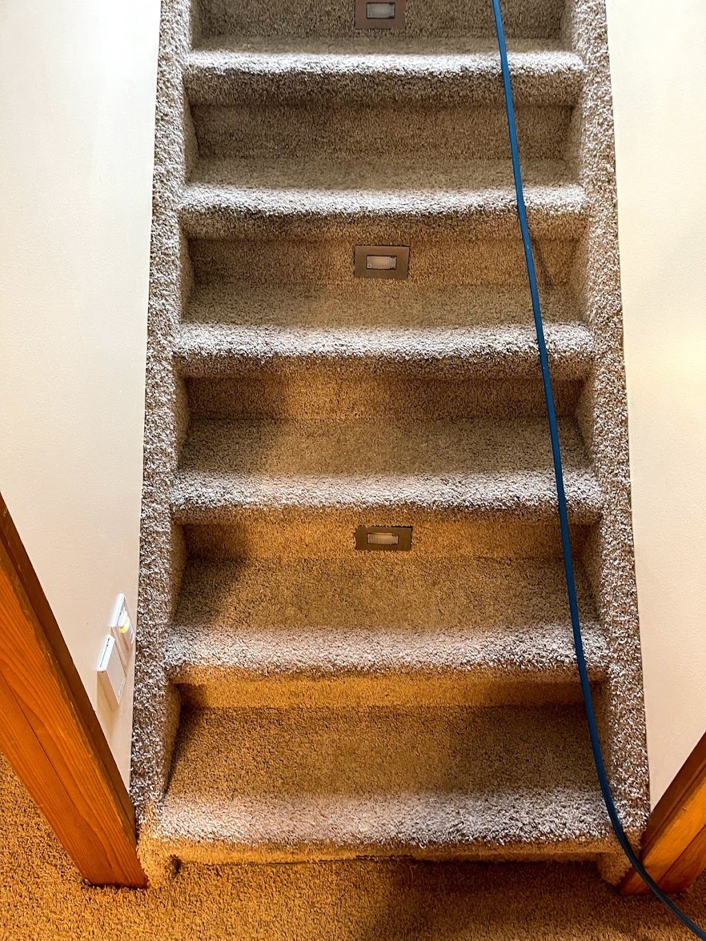 Quality Carpet and Tile Cleaning | 59 Evansmeade Way NW, Calgary, AB T3P 1C3, Canada | Phone: (403) 681-4055
