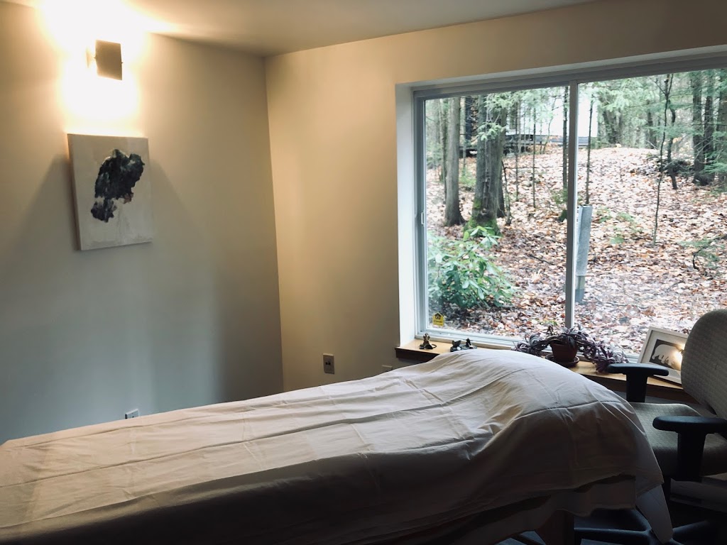 SyncOsteo | 955 Rue Saint Camille, Saint-Jérôme, QC J5L 2K6, Canada | Phone: (514) 661-0730