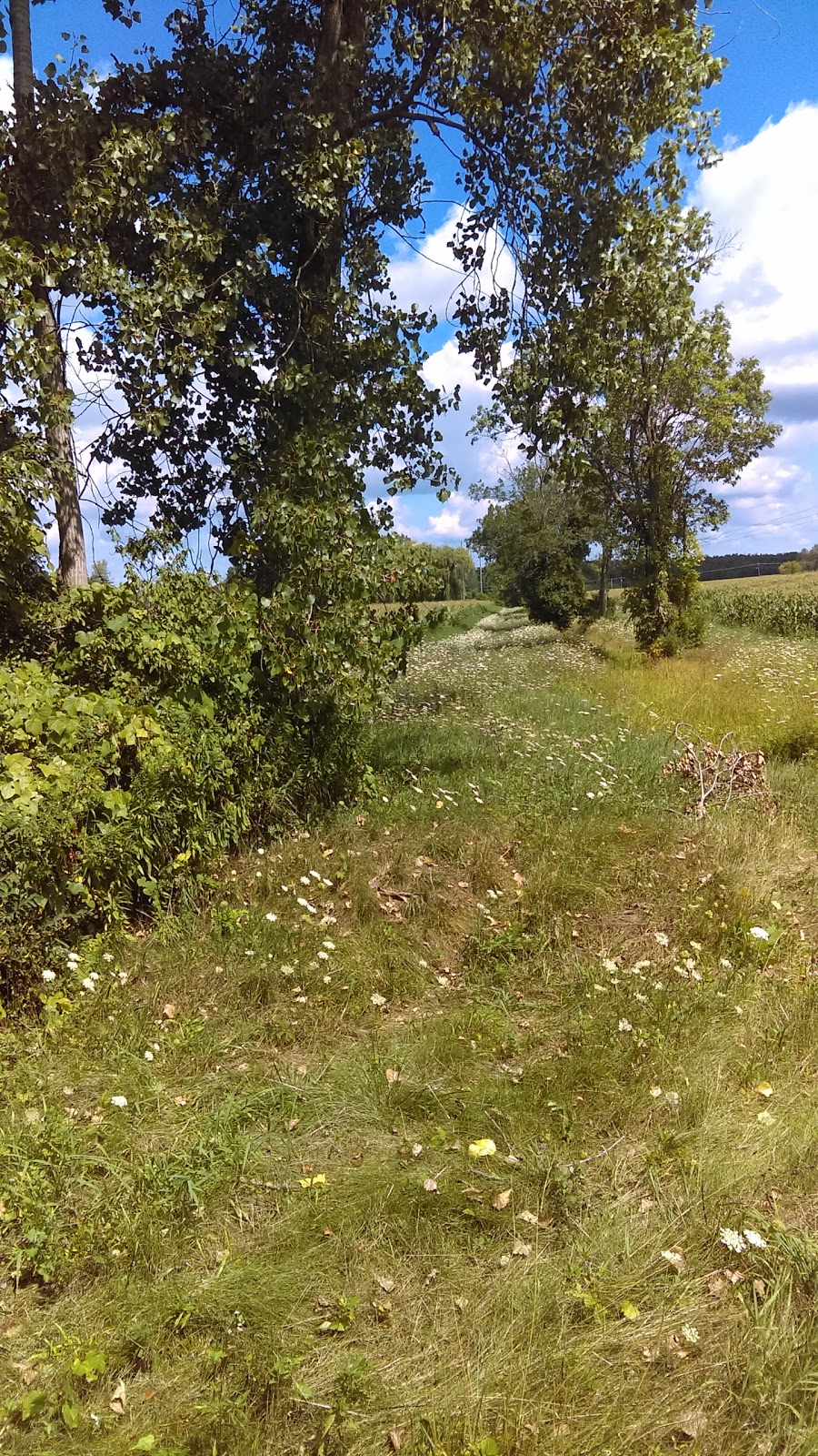 Clarence Bike Path | Clarence Pathways, Clarence Center, NY 14032, USA