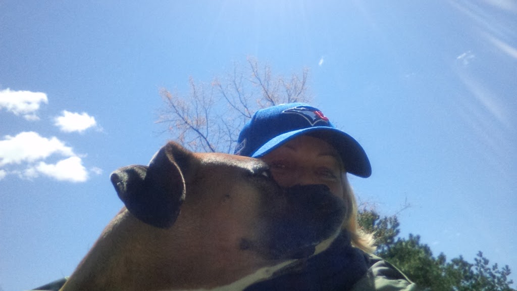 Gentle Leash Dog Walker | 16 Hazelwood Dr, Guelph, ON N1C 1A8, Canada | Phone: (416) 998-8851