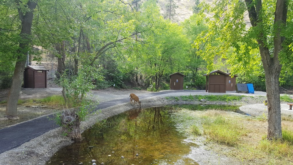 Okanagan Falls Provincial Park | Green Lake Rd, Okanagan Falls, BC V0H 1R0, Canada | Phone: (250) 497-5423