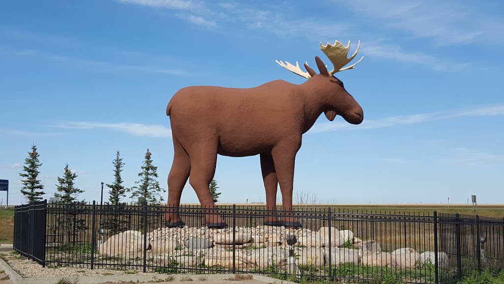 Prairie Oasis Tourist Complex | 955 Thatcher Dr, Moose Jaw, SK S6H 4N9, Canada | Phone: (800) 854-8855
