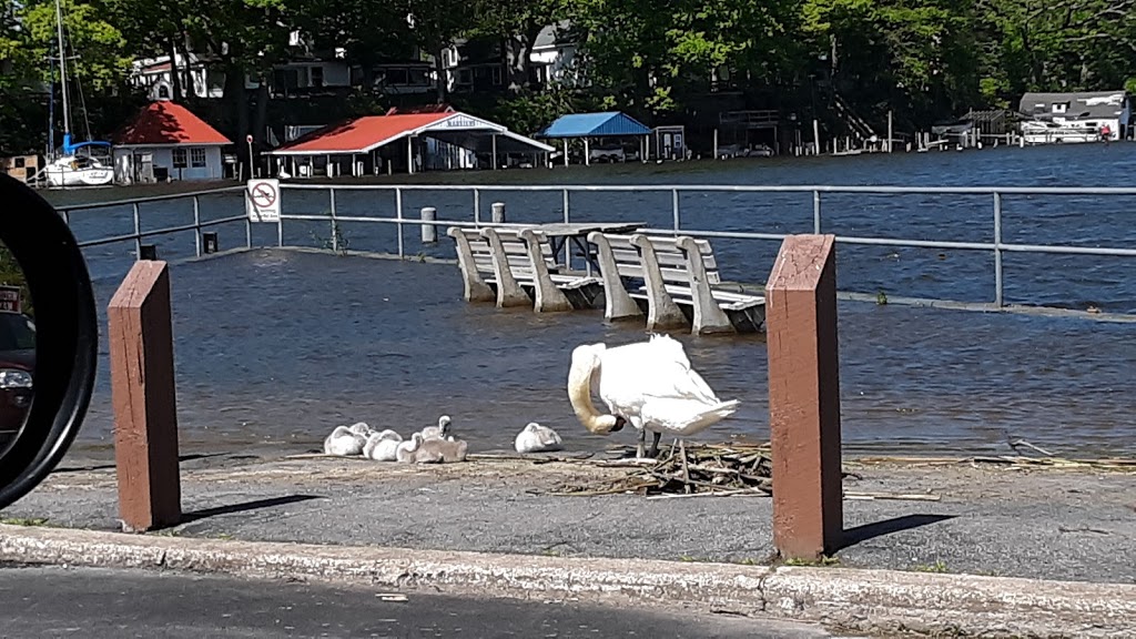 Bootleggers Cove Marina | OConnell Island, Wilson, NY 14172, USA | Phone: (716) 751-6466