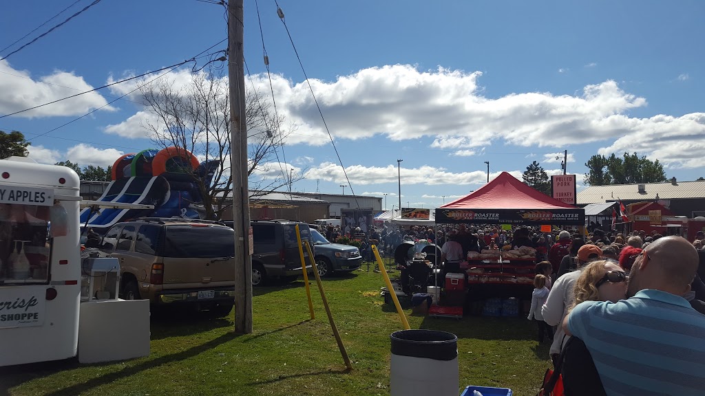 Wellesley Arena | 1004 Catherine St, Wellesley, ON N0B 2T0, Canada | Phone: (519) 656-2222