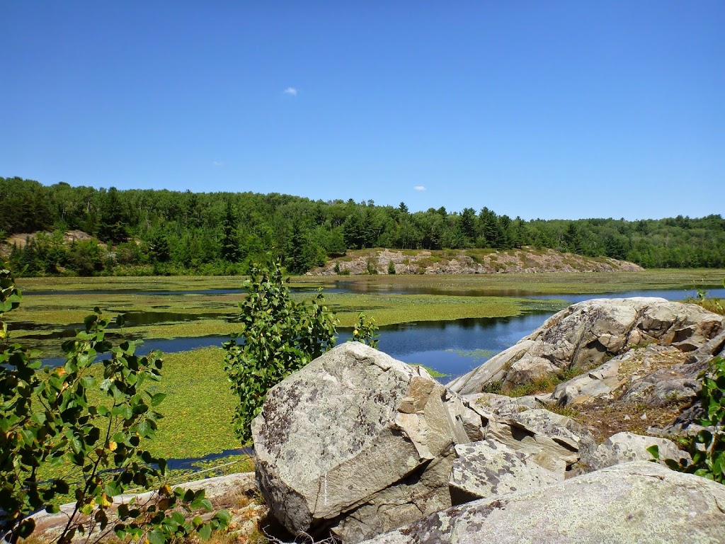 Charlton Lake Camp | 1086 Lake St, Sudbury, Unorganized, North Part, ON P0P 2H0, Canada | Phone: (877) 587-3474