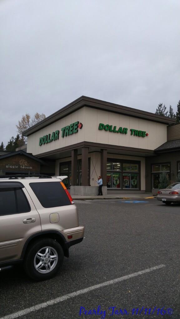 Dollar Tree | 121-1100 Sunshine Coast Hwy, Gibsons, BC V0N 1V7, Canada | Phone: (604) 886-1720