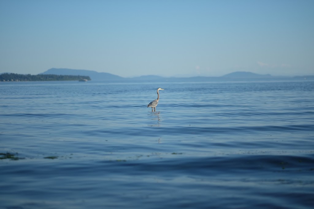 Coldicutt Park | 14064 Marine Dr, White Rock, BC V4B 1A6, Canada | Phone: (604) 541-2181