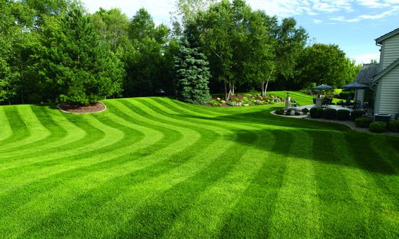 HortiCut.com | 14 Rue Racicot, Fassett, QC J0V 1H0, Canada | Phone: (819) 410-0364