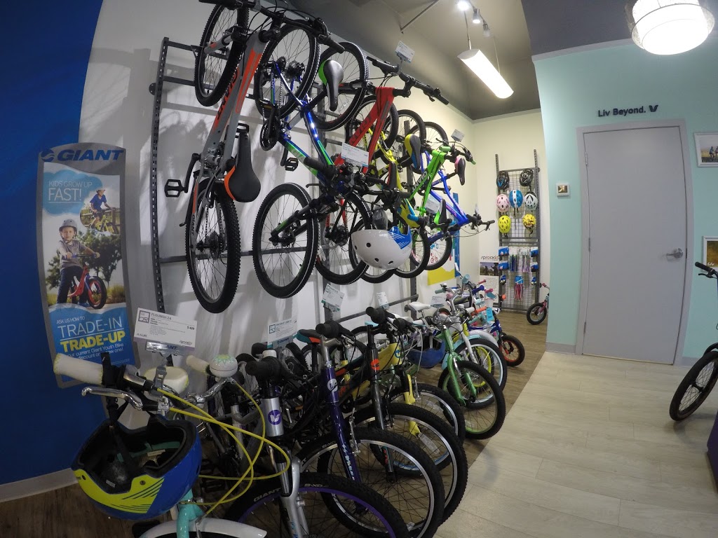 Giant Langley | 20353 64 Ave, Langley City, BC V2Y 1N5, Canada | Phone: (604) 534-3993