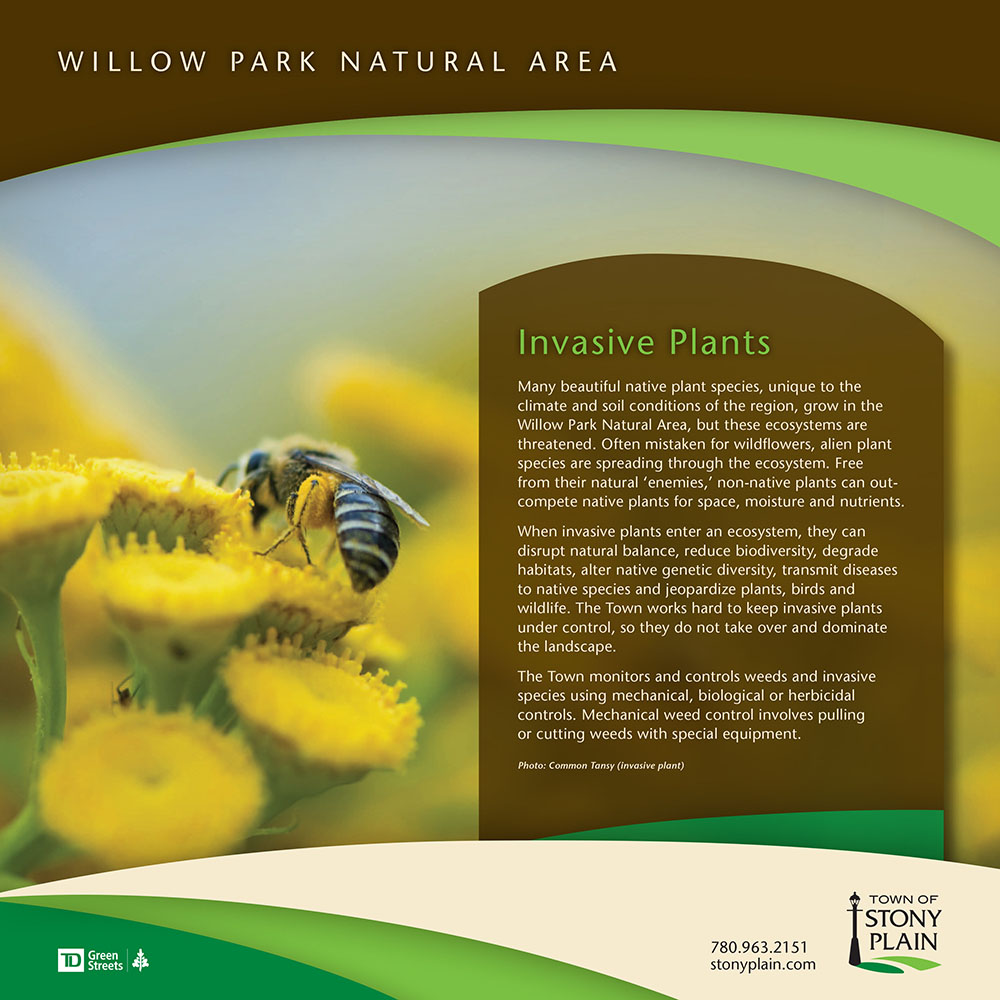 Willow Park Natural Area | 5707 45 St, Stony Plain, AB T7Z 1C7, Canada