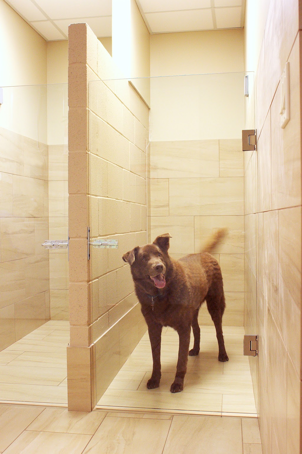 Bayview Wellington Veterinary Clinic | 15340 Bayview Ave b5, Aurora, ON L4G 7J1, Canada | Phone: (905) 503-7387