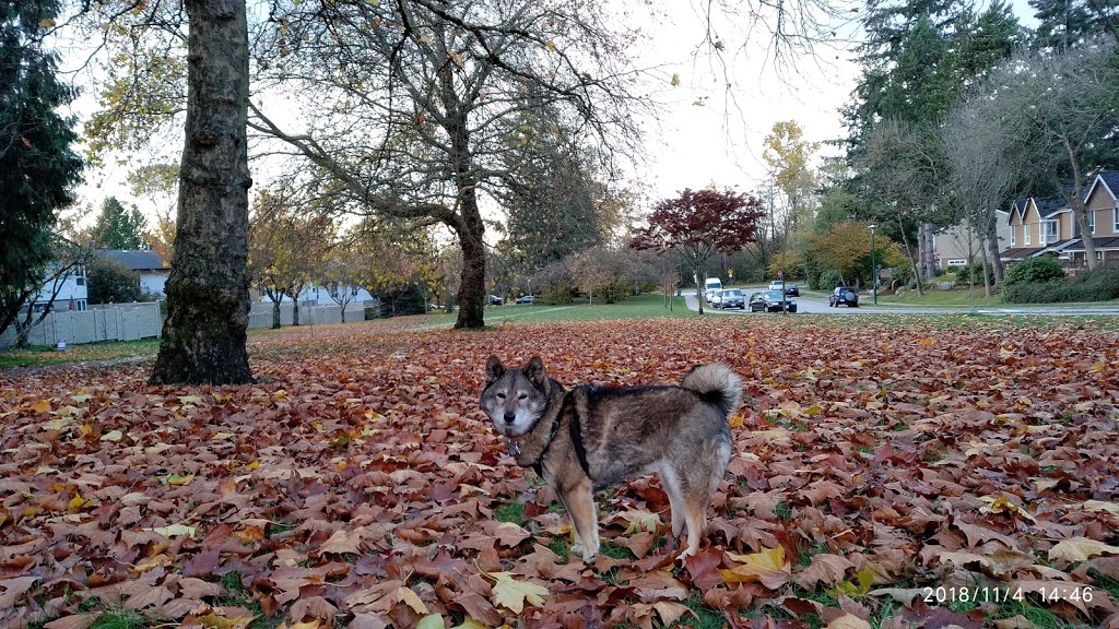 Sparwood Park | 6998 Arlington St, Vancouver, BC V5S 3P1, Canada | Phone: (604) 873-7000