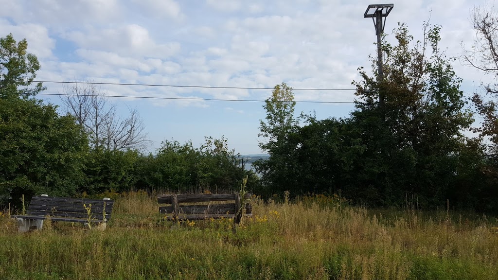 Innis Point Bird Observatory | Letson Rd, Ottawa, ON K0A 1T0, Canada
