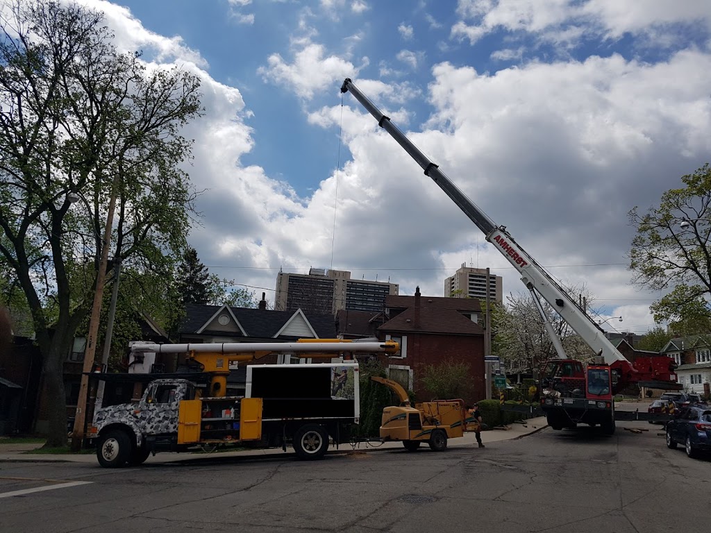 Tree 33 | 120 White Pine Crescent, Pickering, ON L1V 6S4, Canada | Phone: (647) 982-8733