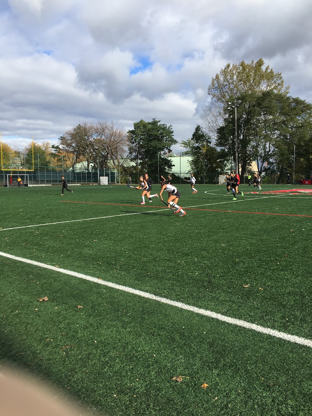 Forbes Field | 3905 Rue University, Montréal, QC H3A 2B4, Canada | Phone: (514) 398-7017
