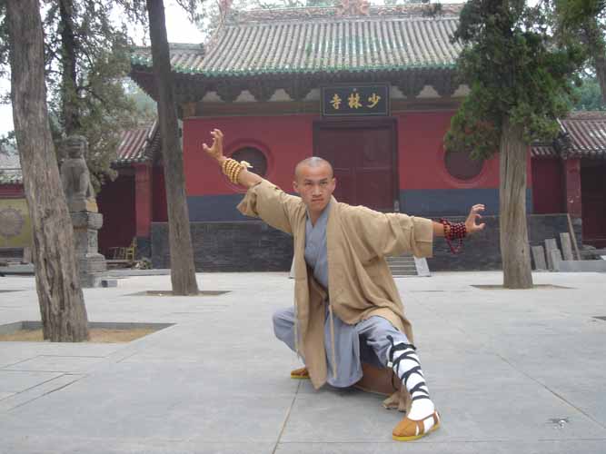 Shaolin Cultural Centre of Canada | 390 Progress Ave Unit 8, Scarborough, ON M1P 2Z6, Canada | Phone: (647) 833-7385