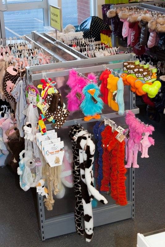 Puppy Angel | 1 Boulevard de Sardaigne, Candiac, QC J5R 0A1, Canada | Phone: (450) 444-4441