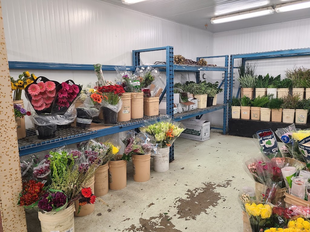 Florists Supply Ltd | Roseberry Square, 3979 Marine Way unit 5, Burnaby, BC V5J 5E3, Canada | Phone: (604) 630-4688