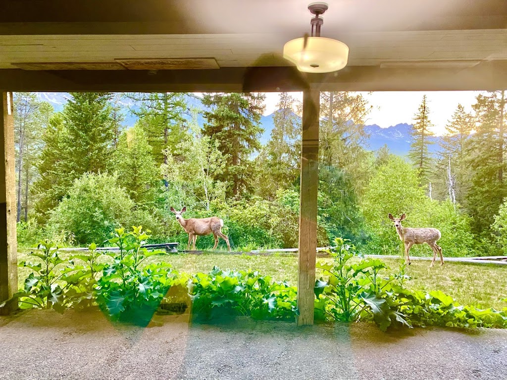 Elk View Lodge | 3934 Cokato Rd, Fernie, BC V0B 1M4, Canada | Phone: (519) 701-3821