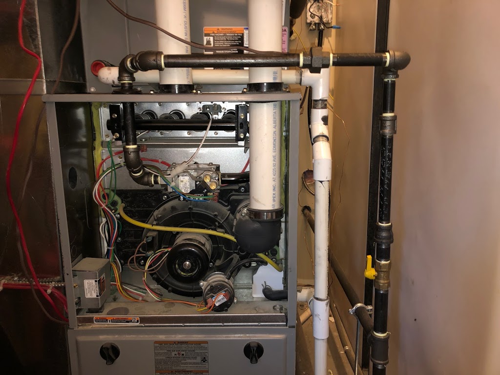 Podolan Plumbing & Heating | 305 Furnival Rd, Rodney, ON N0L 2C0, Canada | Phone: (519) 719-8051