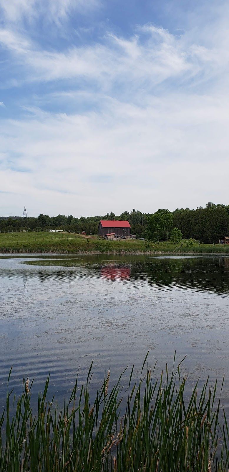 Garden Hill Conservation Area | Ganaraska Road 9, Port Hope, ON L0A 1B0, Canada | Phone: (905) 885-8173