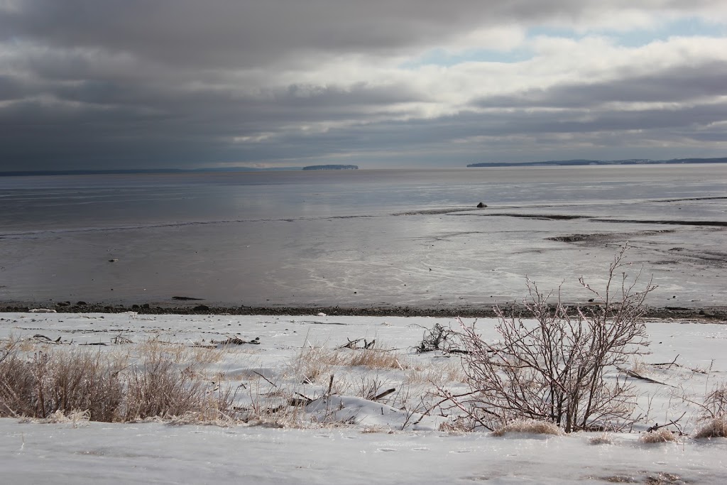 Fundy Biosphere Reserve | NB-935, Johnsons Mills, NB E4K 3N7, Canada | Phone: (506) 874-3272