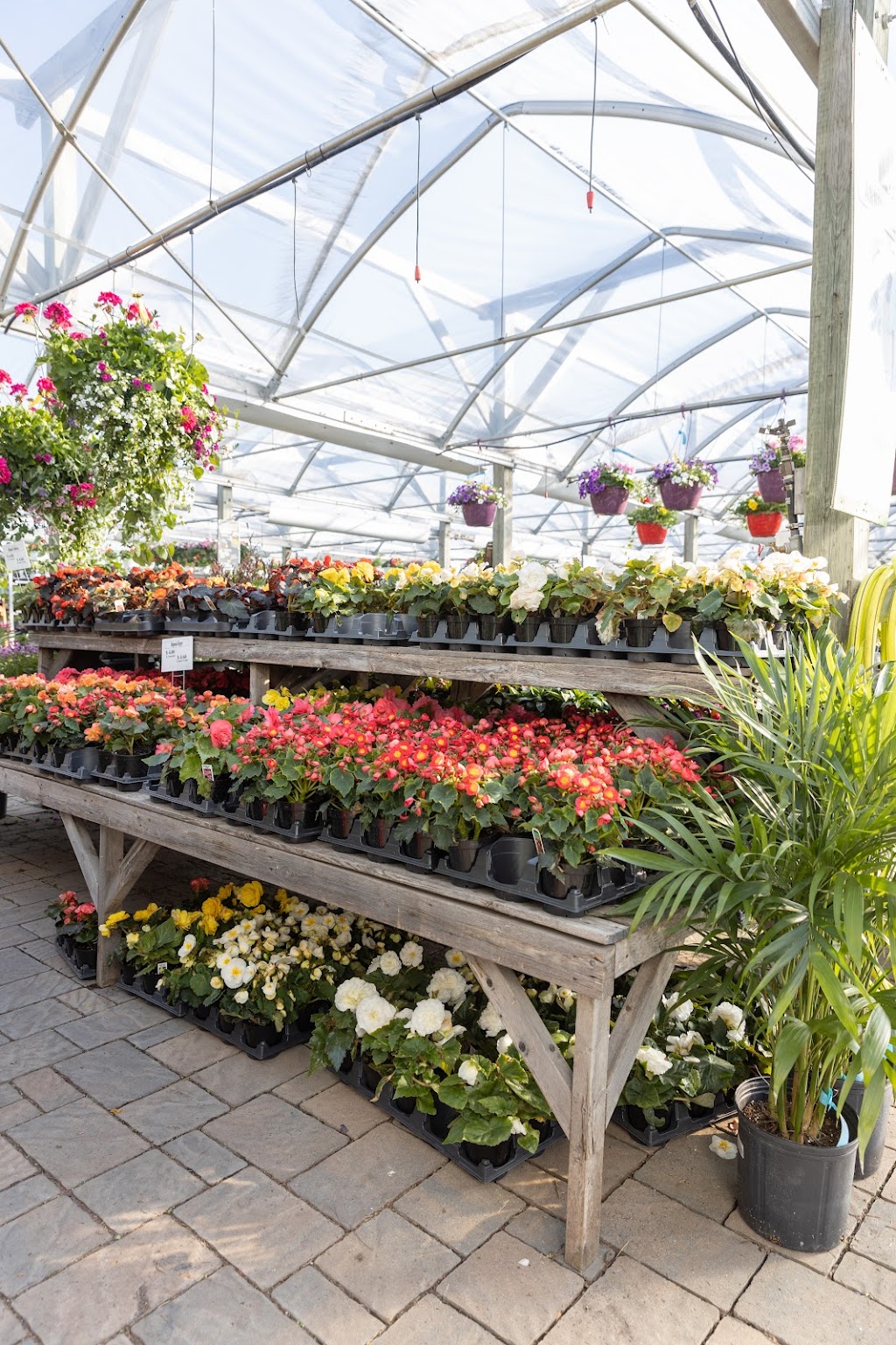 Centre de Jardin et Extermination Denis Brisson | 587 Chem. Larocque, Salaberry-de-Valleyfield, QC J6T 4C9, Canada | Phone: (450) 373-5515