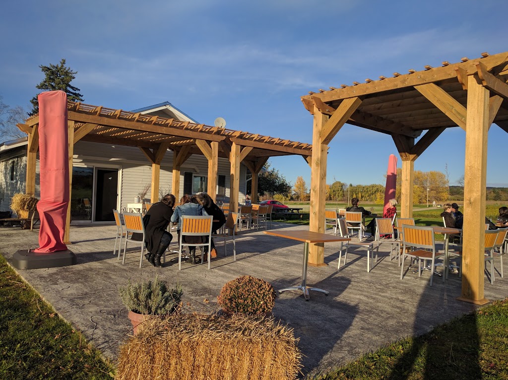 Georgian Hills Vineyards | 496350 Grey County Rd 2, Clarksburg, ON N0H 1J0, Canada | Phone: (519) 599-2255