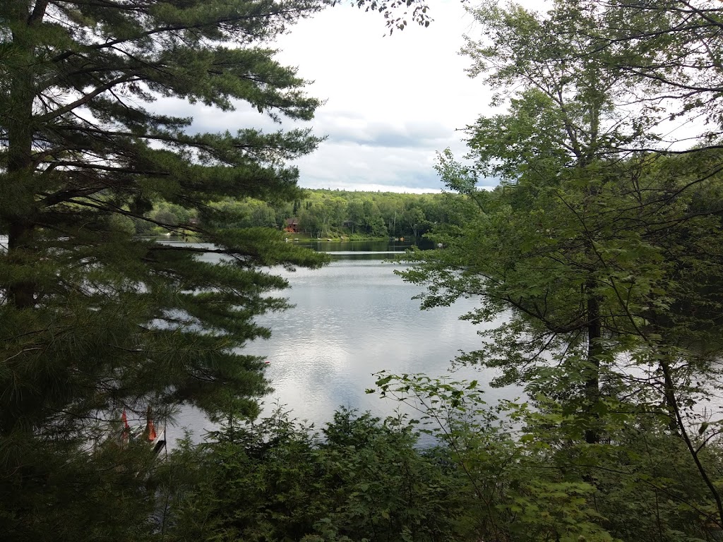 NORGO | 237 Siddon Lake Pl, Bancroft, ON K0L 1C0, Canada | Phone: (705) 201-1575
