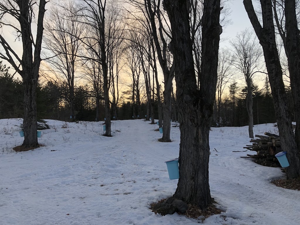 Wilkins Farm | 48 Wilkins Ln, Greater Madawaska, ON K7V 3Z9, Canada | Phone: (613) 859-6962