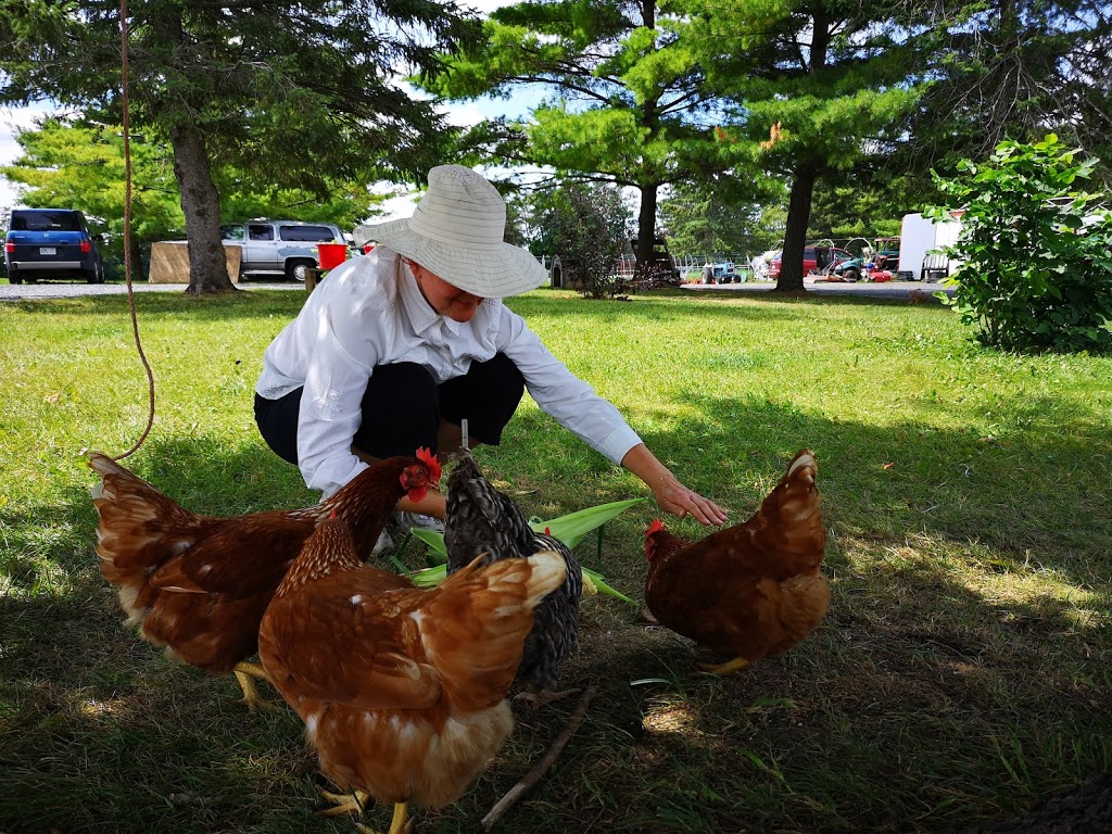 Rideau Pines Farm and Market | 5714 Fourth Line Rd, North Gower, ON K0A 2T0, Canada | Phone: (613) 489-3601