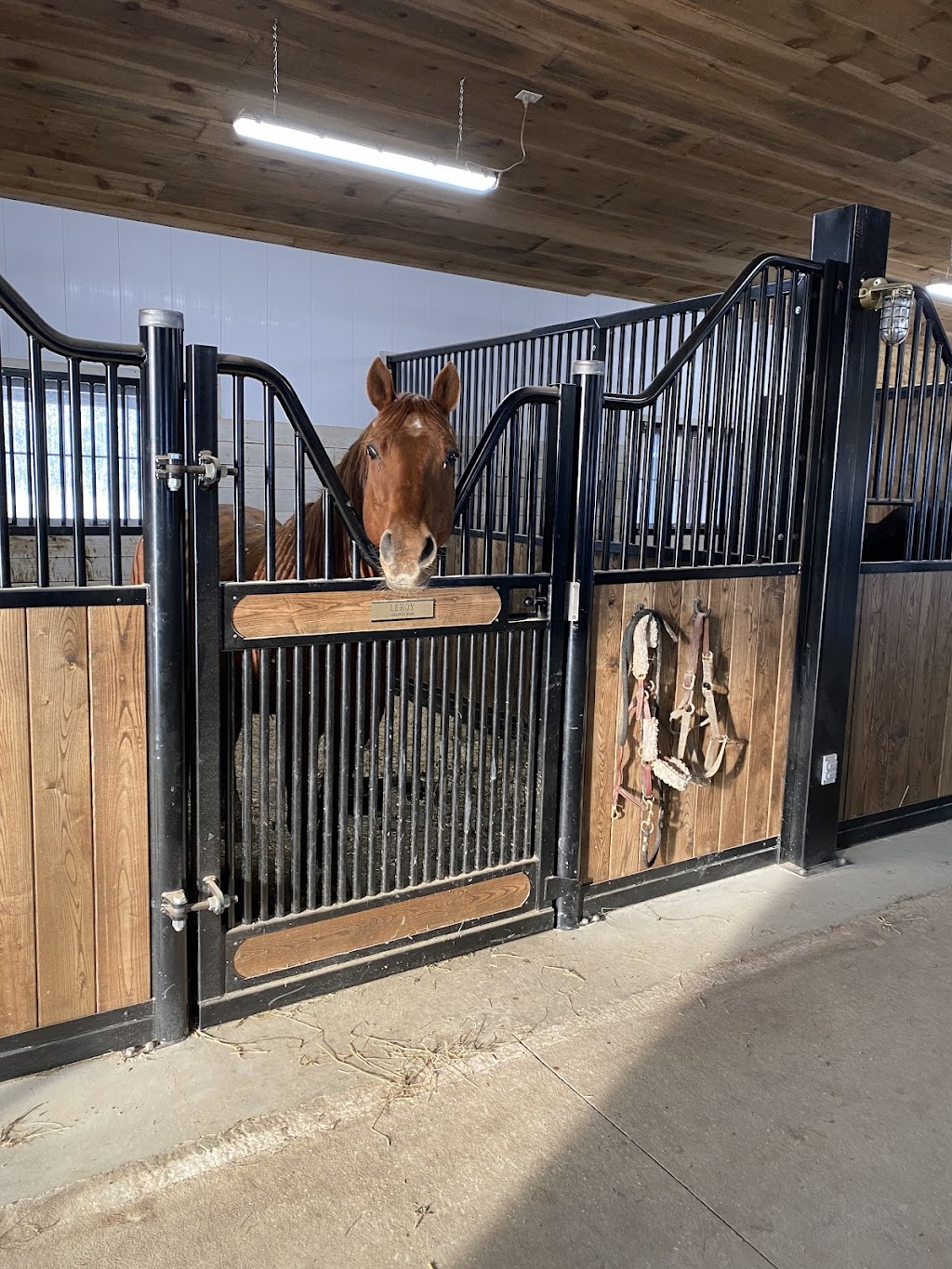 Talloway Farm | 7157 Road 129, Newton, ON N0K 1R0, Canada | Phone: (519) 820-6020