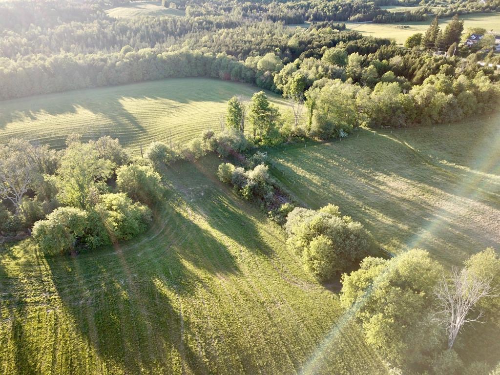 Secret Lands Farm | 733792 W Back Line RR2, Proton Station, ON N0C 1L0, Canada | Phone: (647) 832-7808
