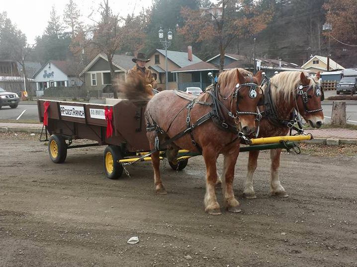 A P Guest Ranch | 4220 Princeton-Kamloops Hwy #1148, Thompson-Nicola N, BC V1K 1B8, Canada | Phone: (250) 378-6520