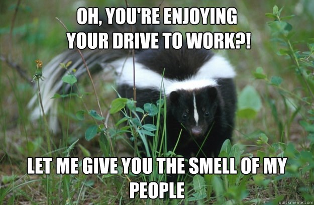 YYC SKUNK GUY | 77 Coville Crescent NE, Calgary, AB T3K 5E3, Canada | Phone: (587) 855-7979