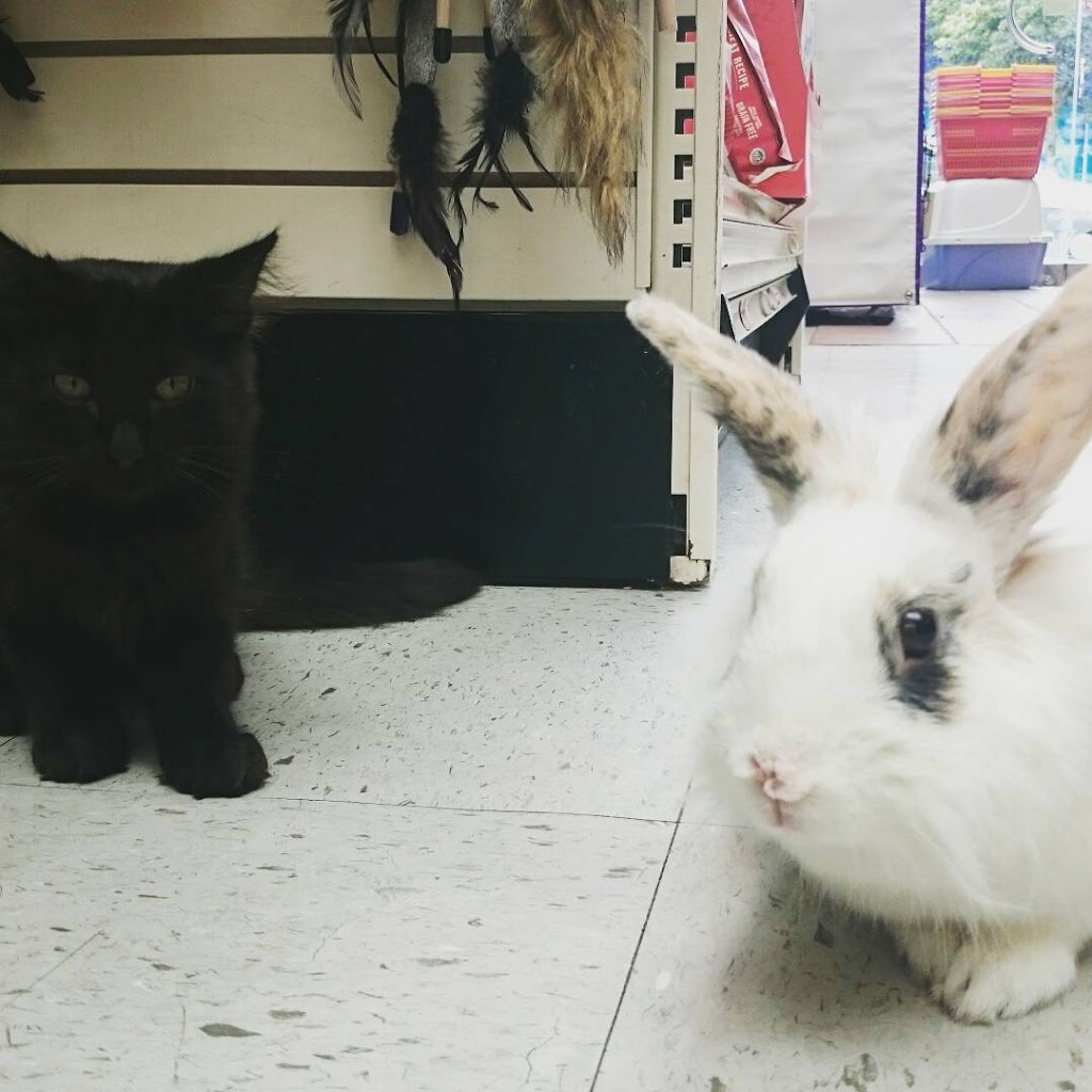 Van Pet Food, Supplies and Grooming - Burnaby | 4111 Hastings St, Burnaby, BC V5C 2J3, Canada | Phone: (604) 294-8933