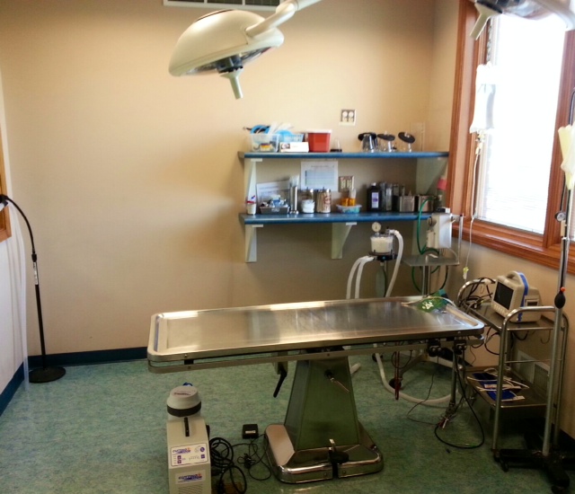 Grand Island Animal Hospital | 2323 Whitehaven Rd, Grand Island, NY 14072, USA | Phone: (716) 773-7646