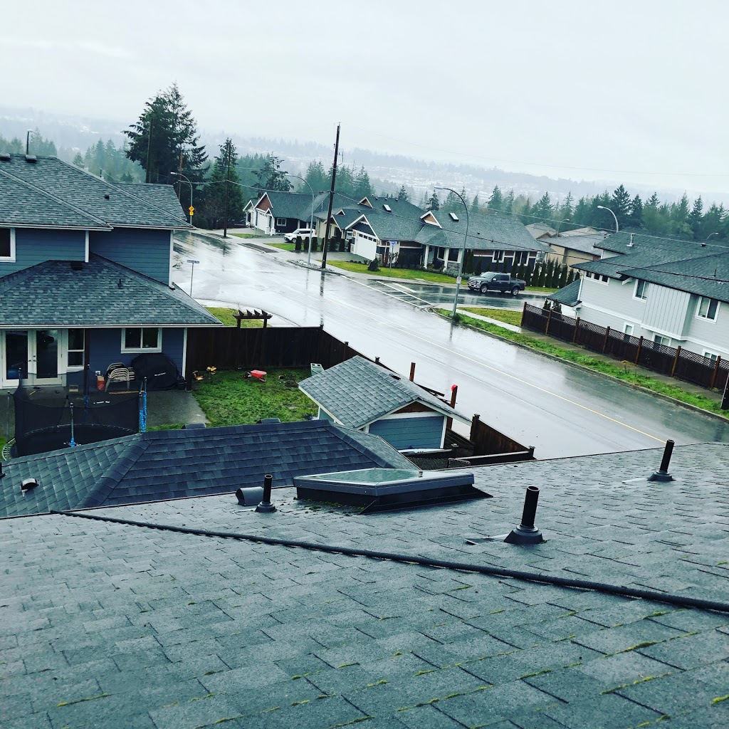 Shack Master Home Services | 7457 Fernmar Rd, Lantzville, BC V0R 2H0, Canada | Phone: (250) 999-8891