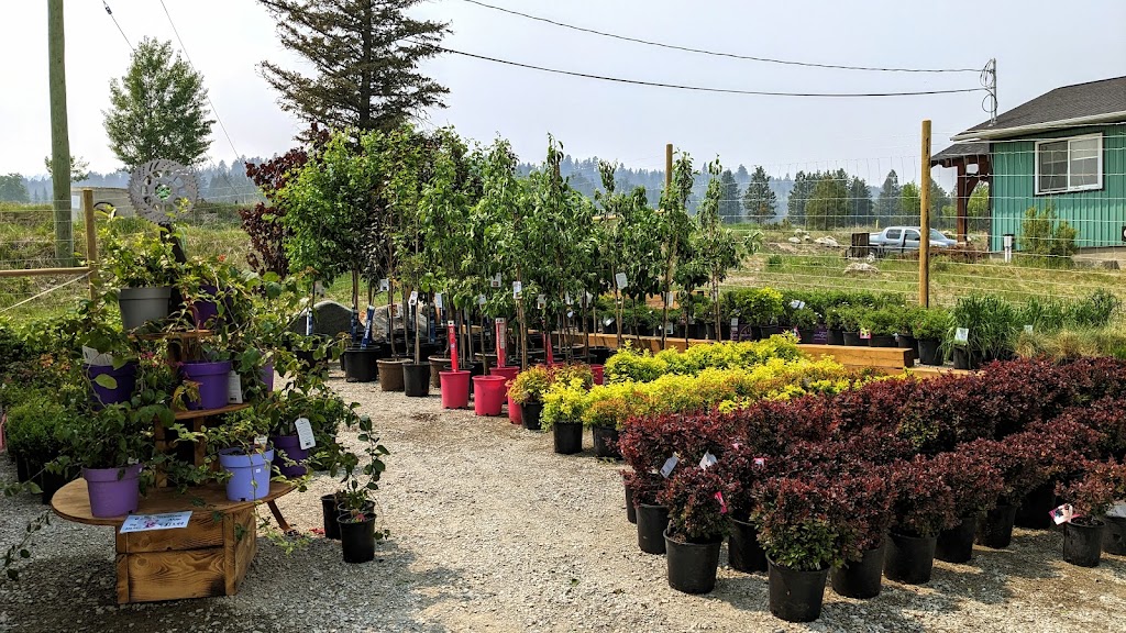 Interior Seed & Fertilizer Ltd | 4500 Mennie Rd, Cranbrook, BC V1C 4J6, Canada | Phone: (250) 426-5347
