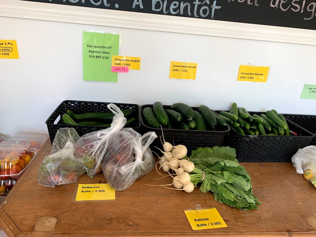 Les petits jardiniers de Saint-Mathias | 96 Chemin des Patriotes, Saint-Mathias-sur-Richelieu, QC J3L 6B6, Canada | Phone: (514) 889-5181