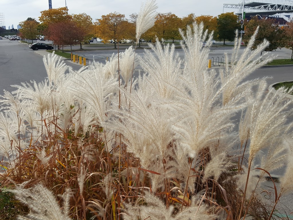 Trillium Park | 955 Lake Shore Blvd W, Toronto, ON M6K 3B9, Canada | Phone: (416) 314-9900