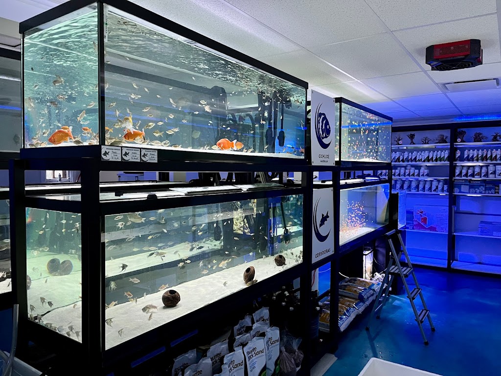 Poseidon Specialised Pet Store | 787 Boul. Louis-XIV, Québec, QC G1H 1A3, Canada | Phone: (418) 623-0821