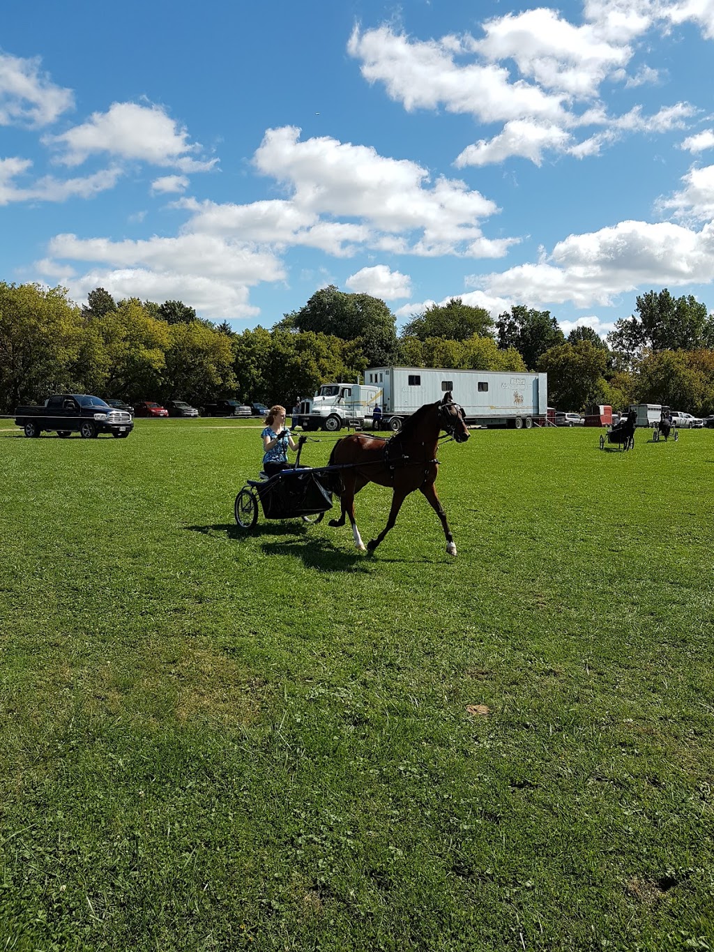 New Hamburg Fall Fair | 251 Jacob St, New Hamburg, ON N3A 1G6, Canada | Phone: (519) 501-7242