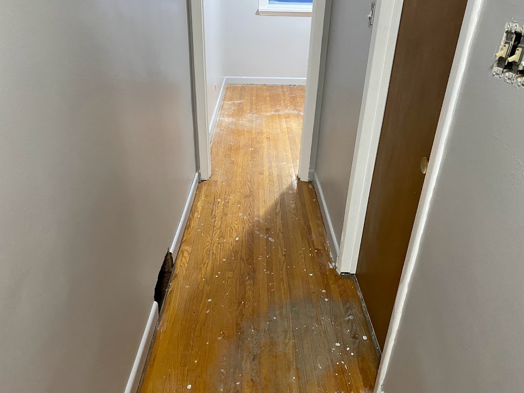 Eco Forest Flooring | 3527 Pembina Hwy, Winnipeg, MB R3V 1L6, Canada | Phone: (204) 509-3239