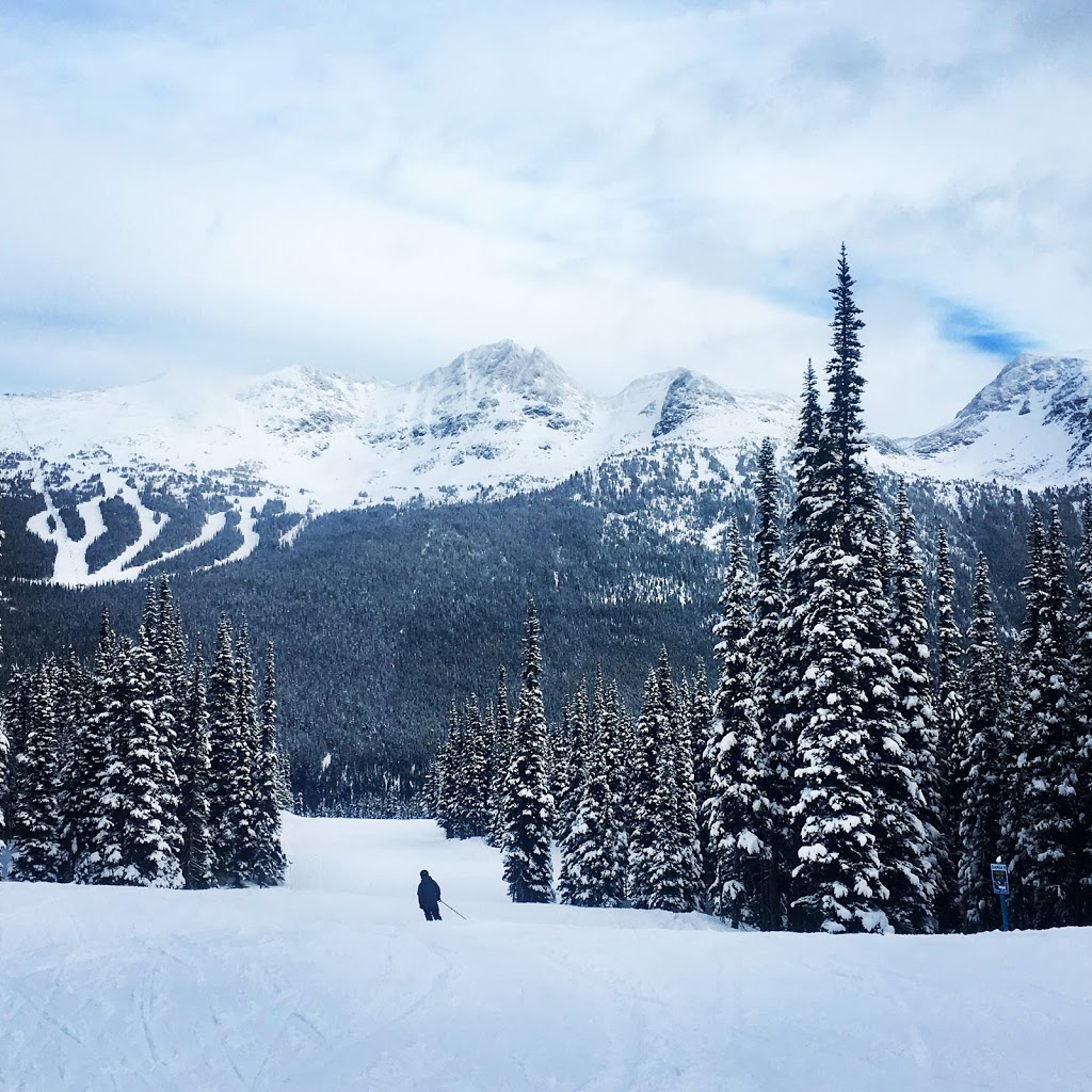 Healing Hands Whistler | 1500 Spring Creek Dr Unit 24, Whistler, BC V8E 0L2, Canada | Phone: (604) 905-9468