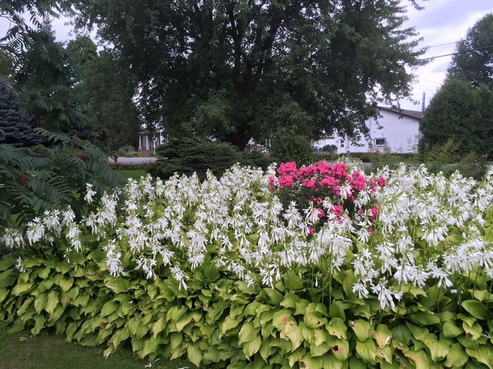 Conception Jardins | 83 Rang St Charles, Saint-Thomas, QC J0K 3L0, Canada | Phone: (450) 365-0664