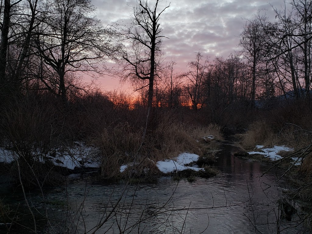 Peach Creek | Peach Creek - Rotary Trail, Chilliwack, BC V2R, Canada