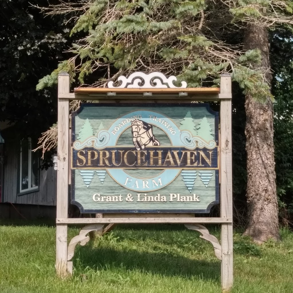 Sprucehaven Farm | 343279 Ebenezer Rd, Mount Elgin, ON N0J 1N0, Canada | Phone: (519) 318-2722