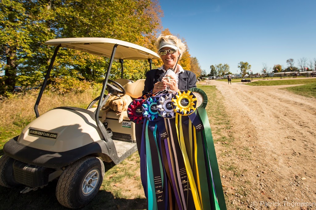 Angelstone Tournaments | 8720 Wellington County Rd 50, Rockwood, ON N0B 2K0, Canada | Phone: (888) 880-2425