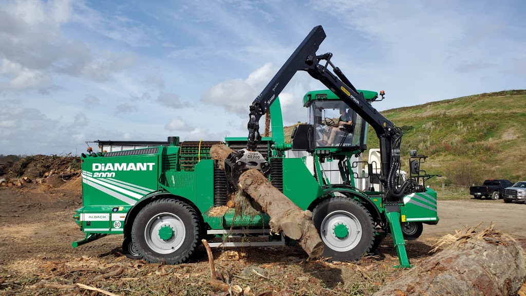 Tree Tech, Tree and Property Maintenance Specialists Inc. | 140 Clarke St, Mitchell, ON N0K 1N0, Canada | Phone: (519) 301-2058